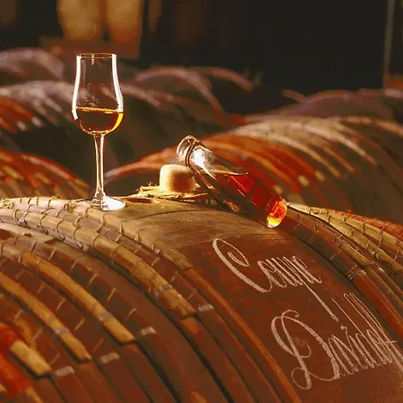 Willa Luxury In France With Pool *