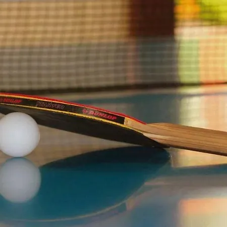 Willa Luxury In France With Pool Vasles