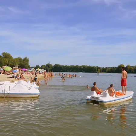 Willa Luxury In France With Pool Vasles