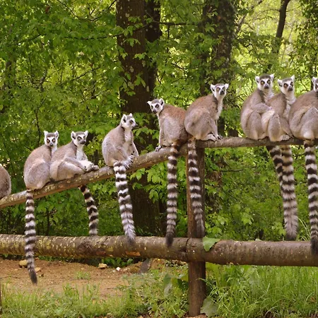 Willa Luxury In France With Pool