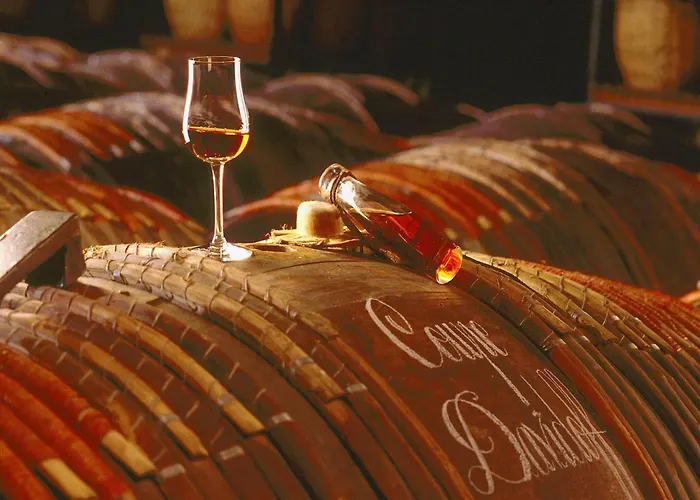 Villa Luxury In France With Pool *