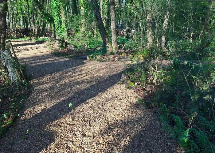 Luxury In France With Pool Vasles