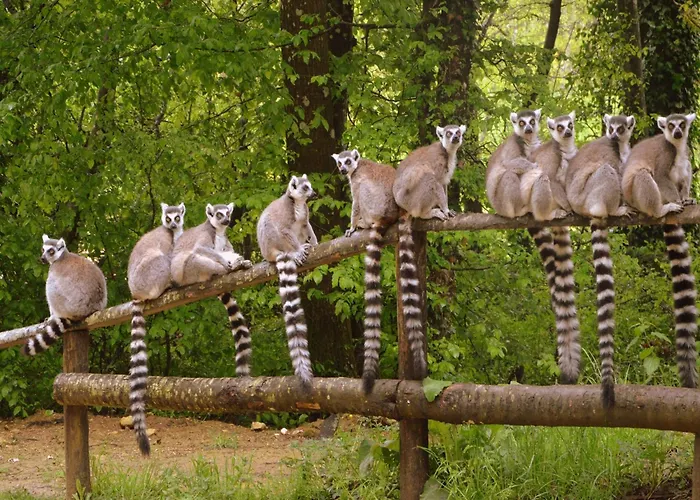 Villa Luxury In France With Pool